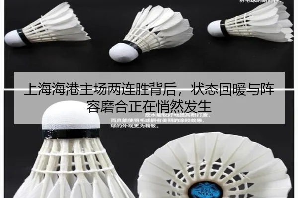 上海海港主场两连胜背后，状态回暖与阵容磨合正在悄然发生